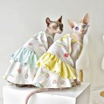 Dresses for Cats-two Sphynx wear dress