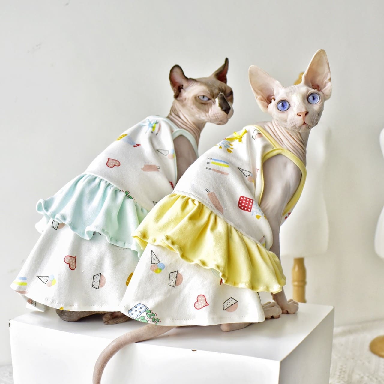 cat dress for cats
