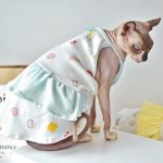 Vestidos para Cats-Sphynx usa vestido azul
