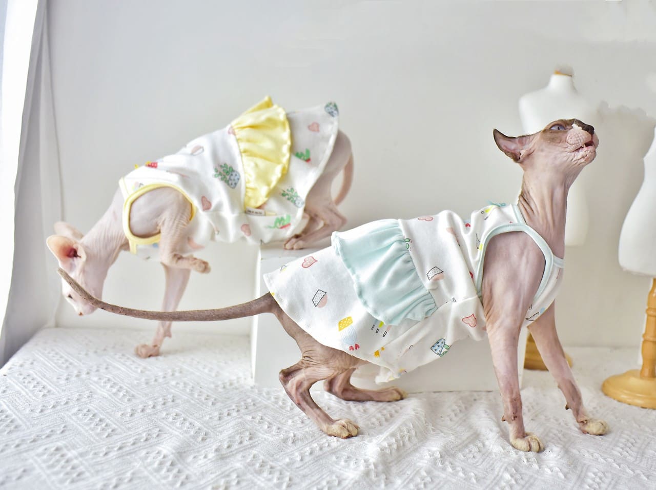 Vestidos para Gatos-dois vestidos Sphynx