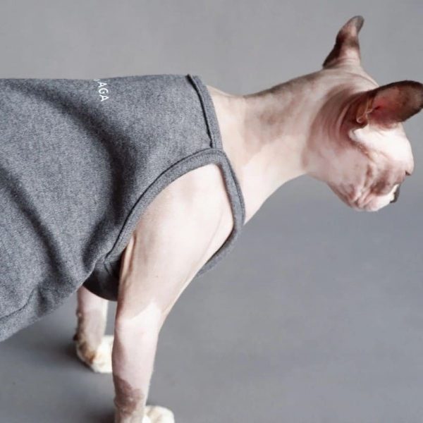 Sphynx cat-tank top halter,Classic stain-resistant gray