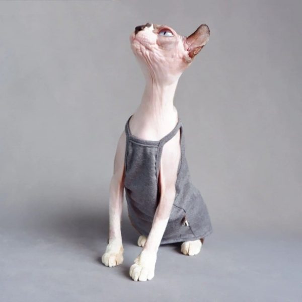 Sphynx Summer Tank Top | Camisa sem mangas respirável para o Sphynx Cat