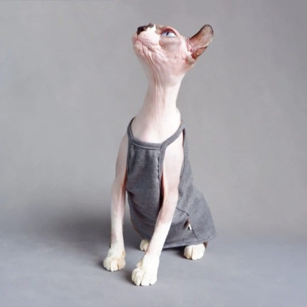 Sphynx Summer Tank Top | Breathable Sleeveless Shirt for Sphynx Cat