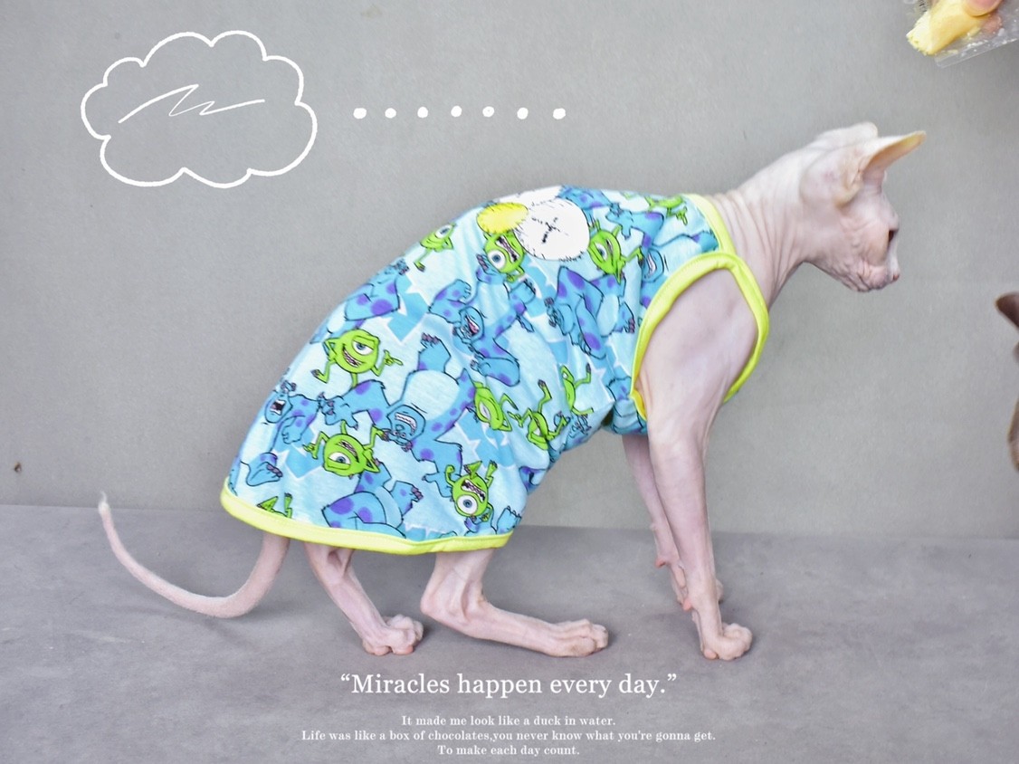 Summer Vest for Sphynx Cats & Hairless Cats | Trendy monster three eyes