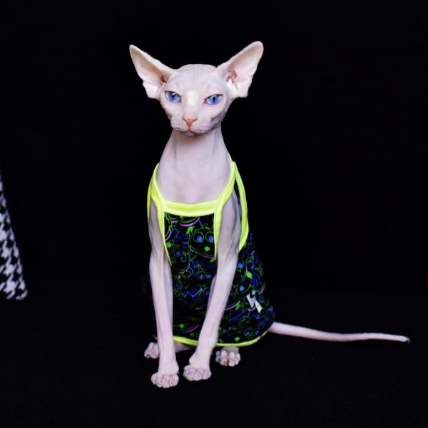 Summer Vest for Sphynx Cats & Hairless Cats | Trendy monster three eyes