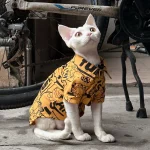 Street Fashion Shirt for Cats