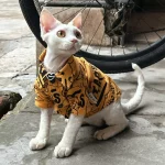 Street Fashion Shirt for Cats