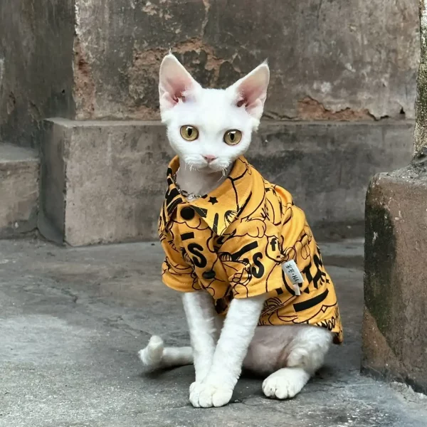 Street Fashion Shirt for Cats