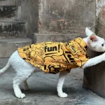 Street Fashion Shirt for Cats