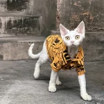 Street Fashion Shirt for Cats