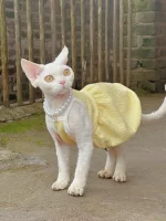 Summer Sleeveless Dress for Cat