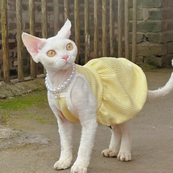 Summer Sleeveless Dress for Cat