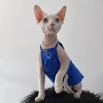 Summer Tank Tops for Cats-Resistant Gray, Blue