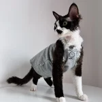 Summer Tank Tops for Cats-Resistant Gray, Blue