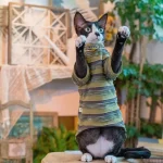 Two Styles Vintage Stripes Shirt for Cats