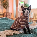 Two Styles Vintage Stripes Shirt for Cats