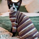 Two Styles Vintage Stripes Shirt for Cats