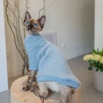 Blue Turtleneck Sweater for Cats