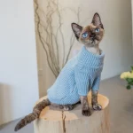 Blue Turtleneck Sweater for Cats