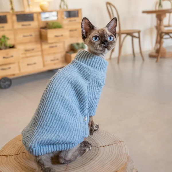 Blue Turtleneck Sweater for Cats