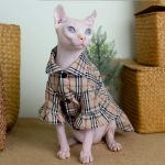 Burberry Cat Clothes | "Burberry" Classic Dress, Cat Clothing for Cats