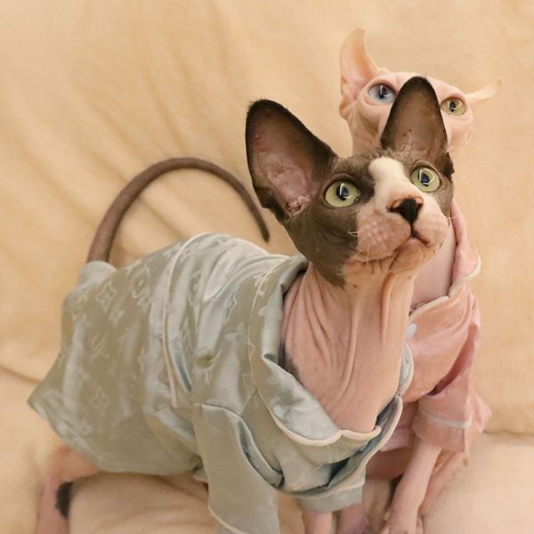 Pyjama pour chat - rose et bleu