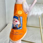 Cat Shirt for Cat | Cute Orange "Girl with a Pearl Earring" Shirt for Cat