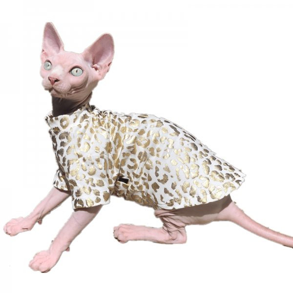 Camisa para Gatos | Roupa de Gato, Roupa de Gato, Leopardo, Algodão Puro