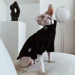 Cat Sweater for Cat | "PRADA" Sweater for Cat, Turtleneck for Sphynx