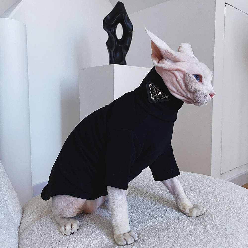 Cat Sweater for Cat | "PRADA" Sweater for Cat, Turtleneck for Sphynx
