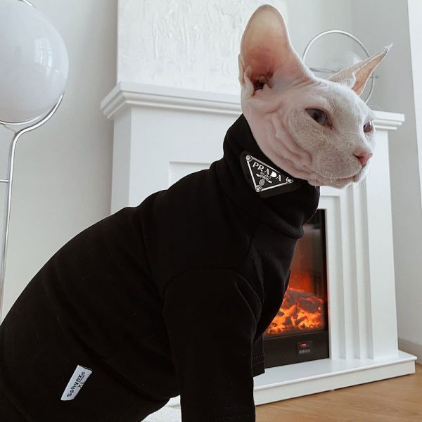  Sphynx Cat Clothes Breathable Pure Cotton Fashion Icon Cat  Sweater Kitten Outfit with Sleeves for Sphynx Cornish Rex, Devon Rex,  Peterbald (XL, Grey) : Pet Supplies