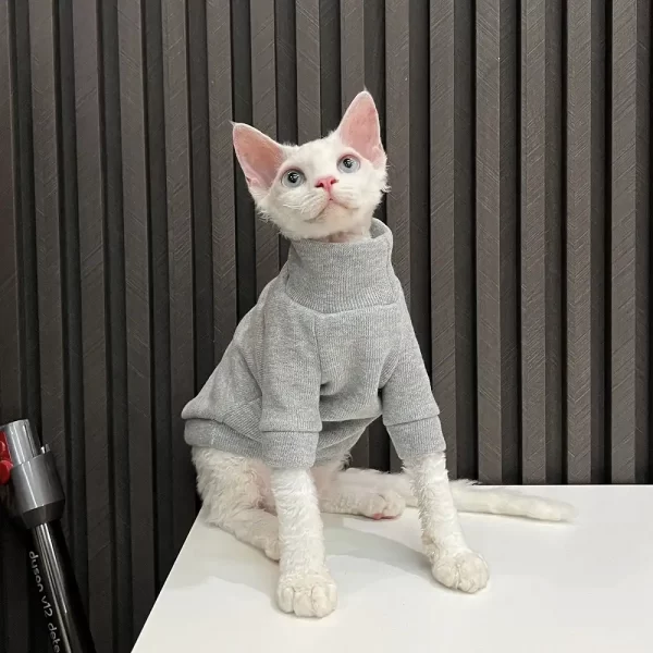 Angelic Sphynx Cat winter sweater in different colors