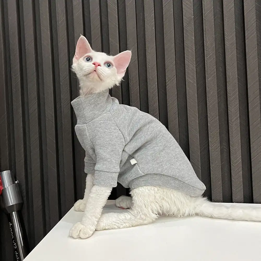 Cat Sweater for Cat-Solid Color Gray Sweater for Hairless Cat