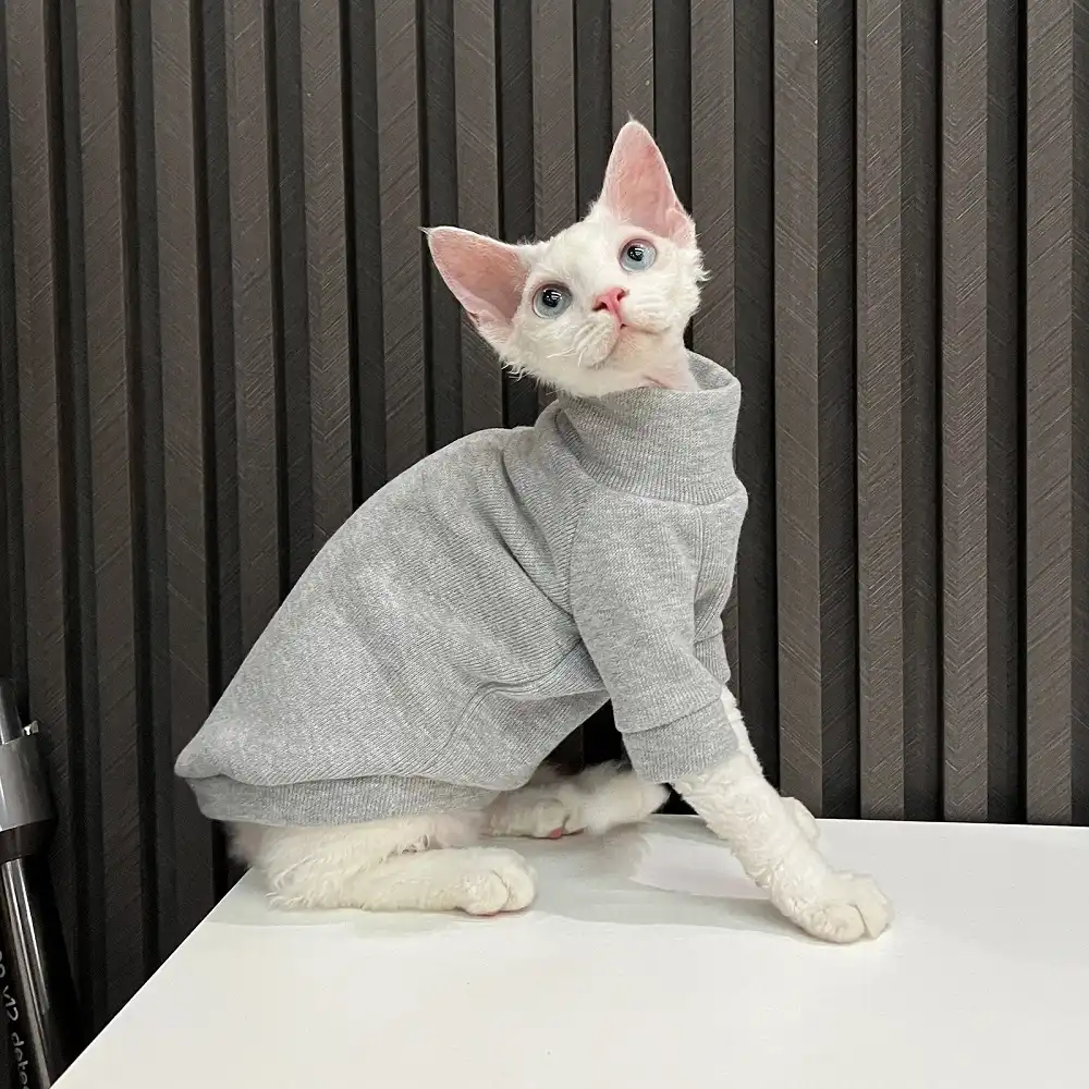 Cat Sweater for Cat  Turtleneck for Sphynx, Color: Gray