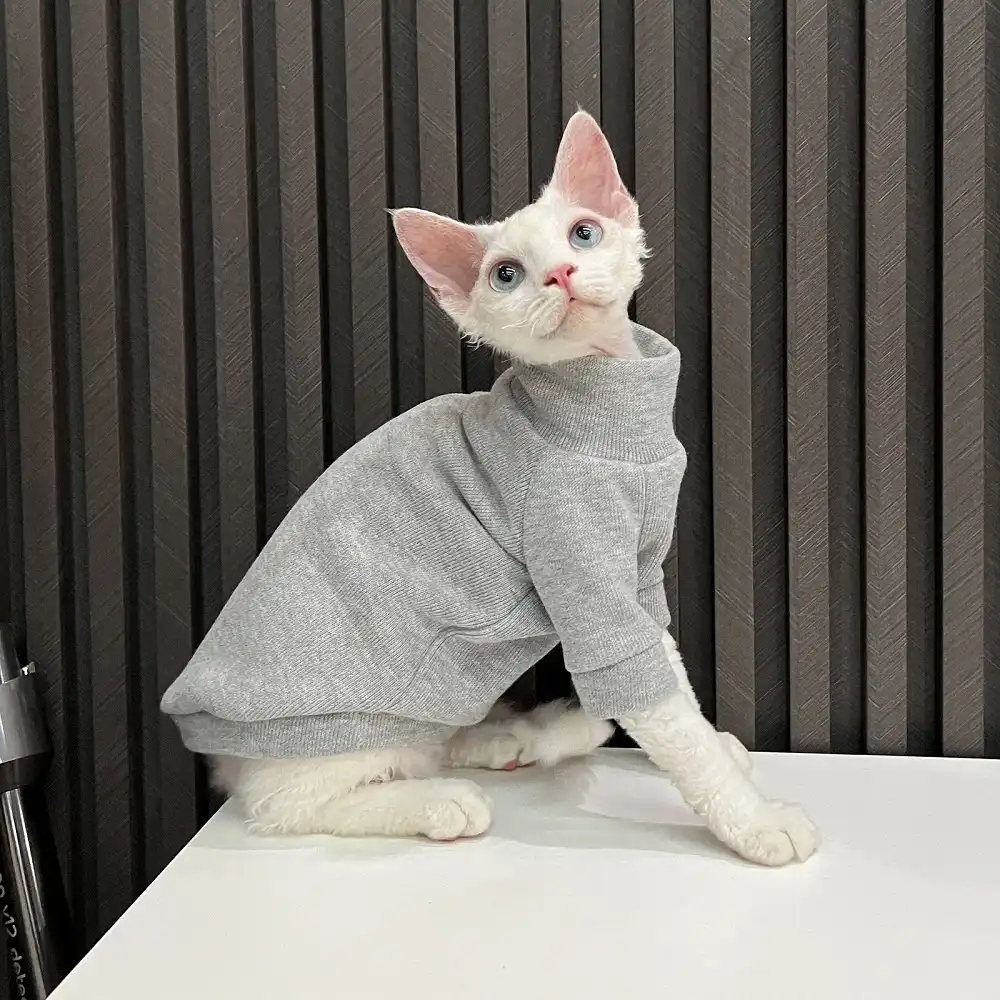 sphynx cat sweater