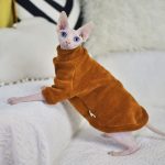 Katzen mit Pullovern, Kint Cat Sweater, Sphynx Pullover | Chenille Stoff