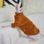 Cats with Sweaters, Kint Cat Sweater, Sphynx Sweaters | Chenille Fabric