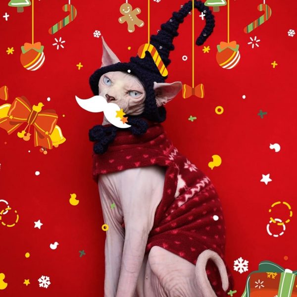 Weihnachtskatzen-Outfit-Sphynx trägt roten Pullover und Hut