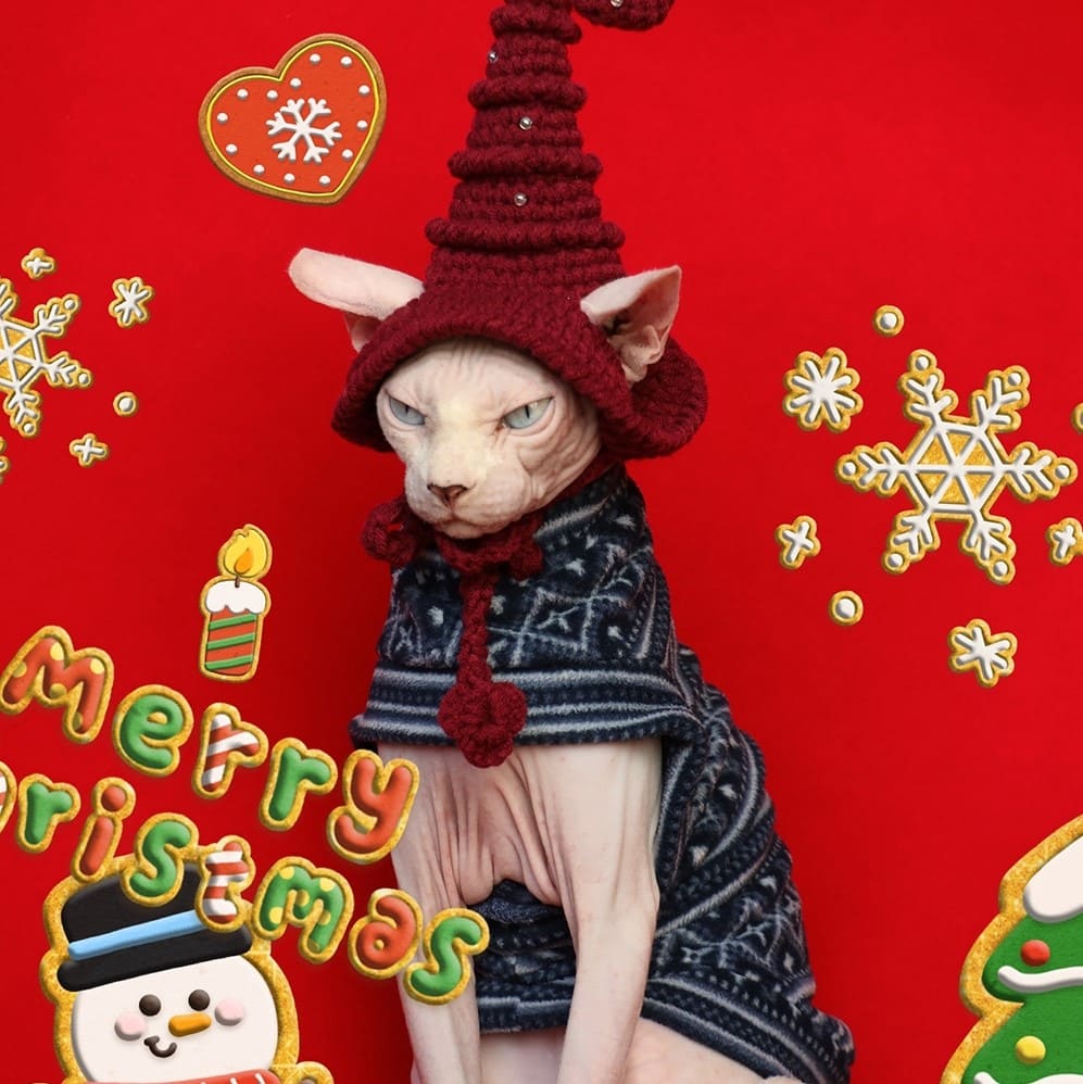 Christmas Cat Outfit-Sphynx wear blue sweater and hat