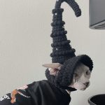 Кошка в шляпе ведьмы Шапка для кошки, вязаная шапка ручной работы, шапка для кошек