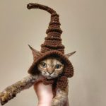 Кошка в шляпе ведьмы Шапка для кошки, вязаная шапка ручной работы, шапка для кошек