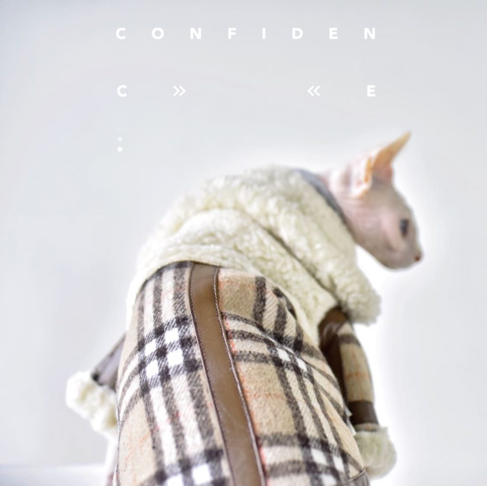 Burberry Coat for Cat Warm British Lamb Fleece Coat for Cat 🐱