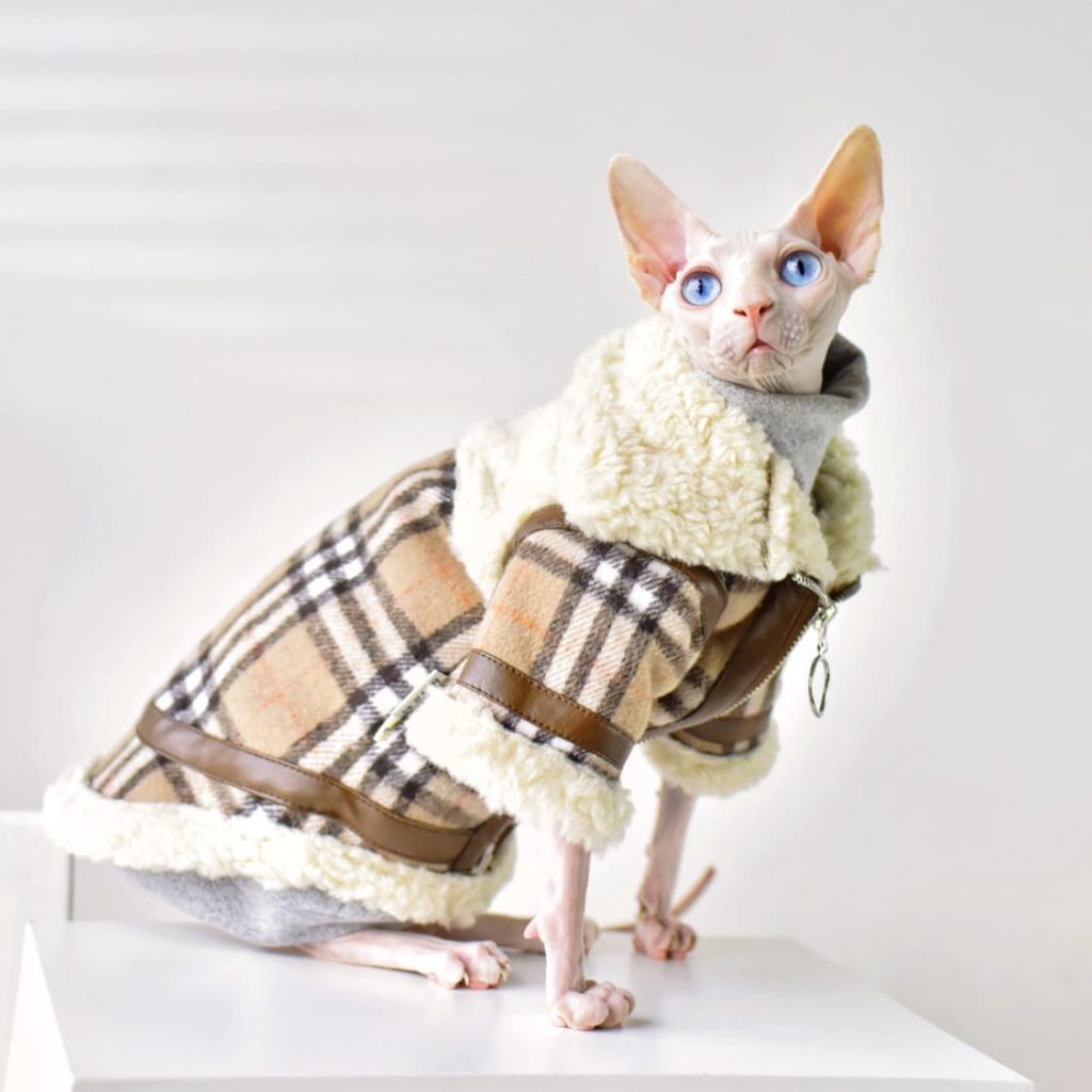 Burberry Coat for Cat Warm British Lamb Fleece Coat for Cat 🐱