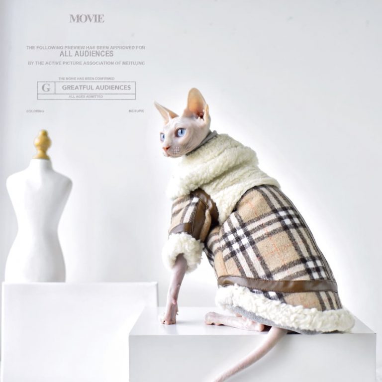 Burberry Coat for Cat Warm British Lamb Fleece Coat for Cat 🐱