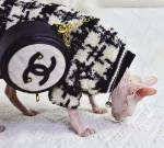 Chanel Coats for Cats-Sphynx Cat Chanel Coat