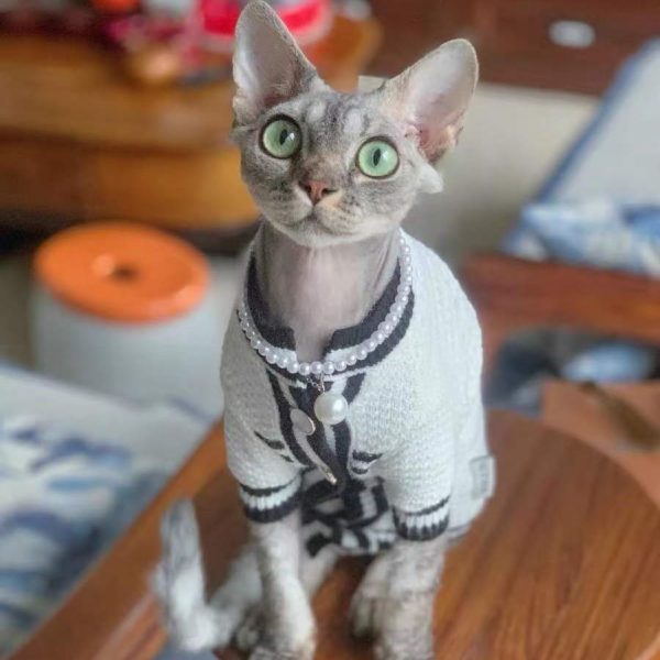 Abrigo de lujo para gato Chanel-Abrigo de vestir para gato