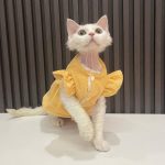コスチュームを着たかわいい猫たち-Yellow