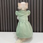 Gatos giros em trajes-verdes
