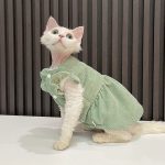 Gatti carini in costume - Verde