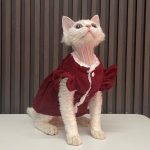 Cute Cats in Costumes-Red